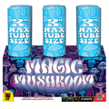 MAGIC MUSHROOM